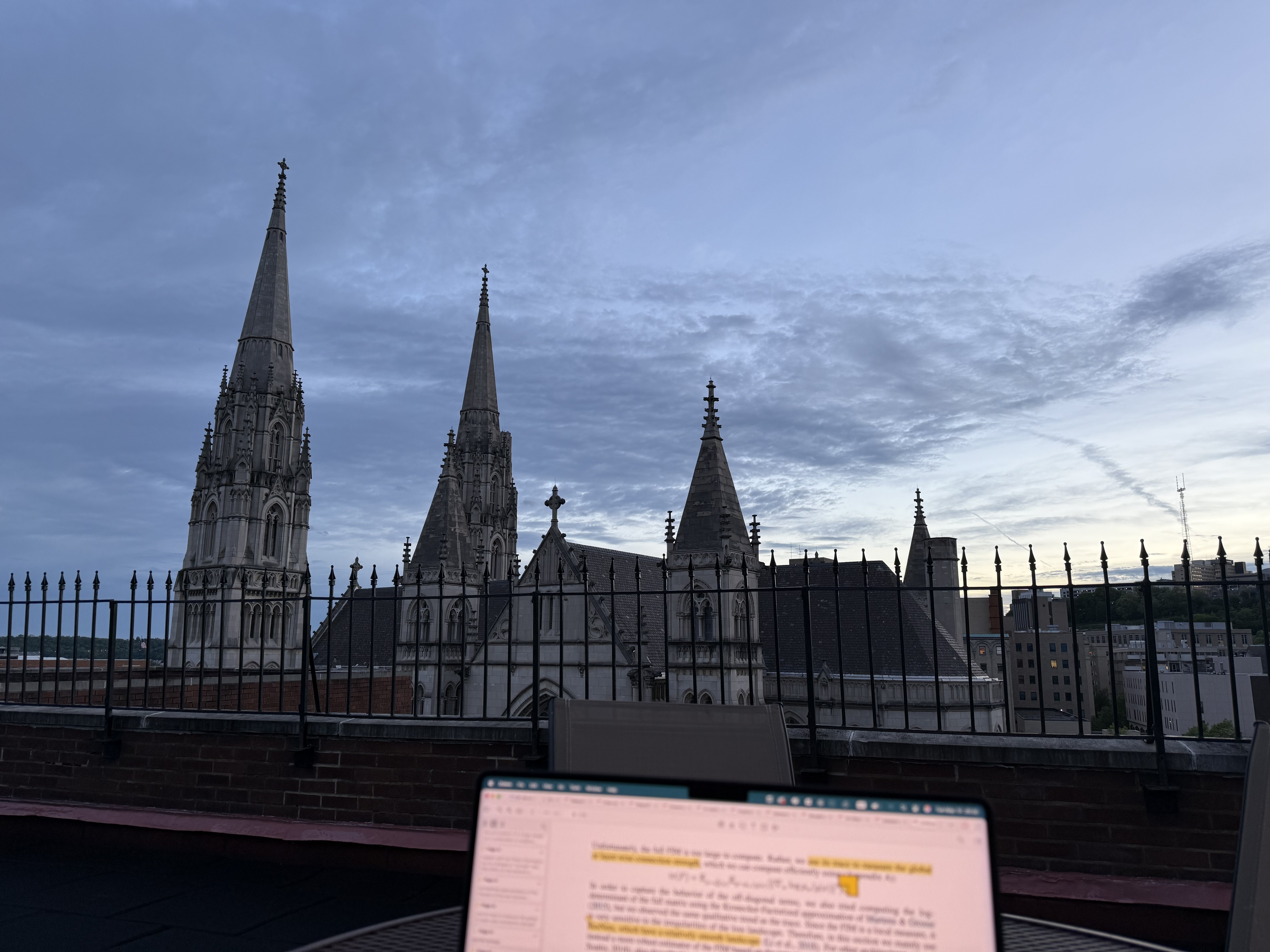 Rooftop view at 8pm
